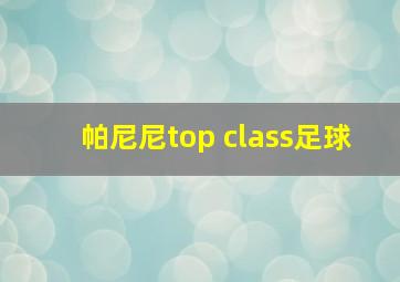 帕尼尼top class足球